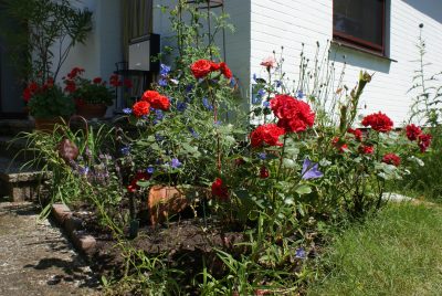 Vorgarten